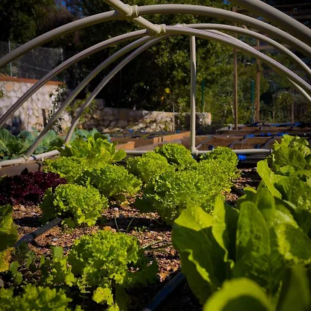 Tiny House Olea Goekbel * 말마리스