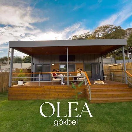 Tiny House Olea Goekbel Holiday home