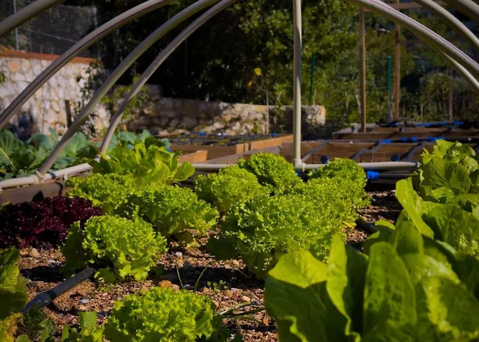 Tiny House Olea Goekbel * Marmaris