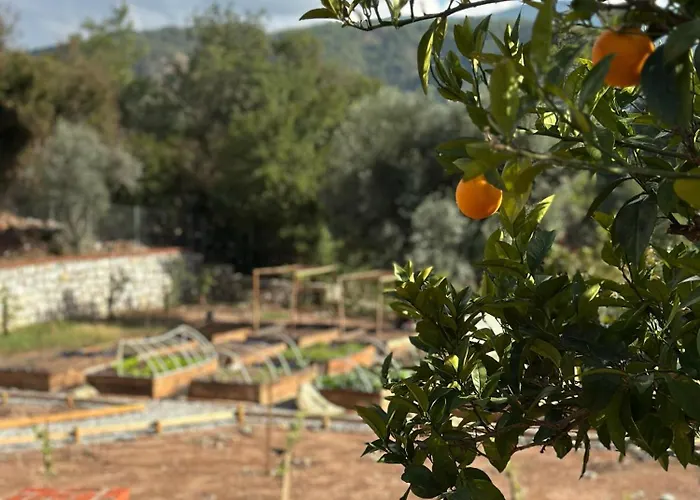 Tiny House Olea Goekbel *